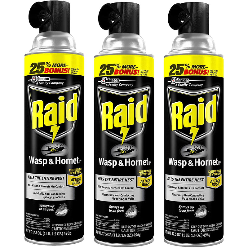 Raid Wasp and Hornet Killer, 17.5-Ounce (Pack Of 3)